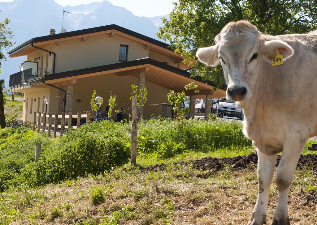 Agriturismo Al Franet Tremosine Exterior foto